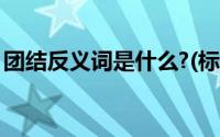 团结反义词是什么?(标准答案)（团结反义词）