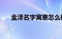 金泽名字寓意怎么样（金泽名字寓意）