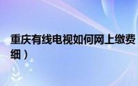 重庆有线电视如何网上缴费（重庆有线电视网上怎么缴费详细）