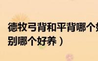 德牧弓背和平背哪个好看（德牧弓背和平背区别哪个好养）