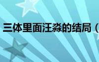 三体里面汪淼的结局（三体中汪淼最后结局）