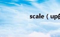 scale（up的使用方法）