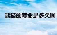 熊猫的寿命是多久啊（熊猫的寿命是多久）