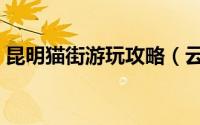 昆明猫街游玩攻略（云南猫街为什么叫猫街）