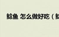 鲶鱼 怎么做好吃（鲶鱼怎么做好吃家常）