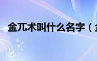 金兀术叫什么名字（金兀术读音哪个正确）