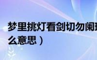 梦里挑灯看剑切勿阑珊歌词（梦里挑灯看剑什么意思）