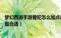 梦幻西游手游普陀怎么加点最吃香（梦幻手游普陀怎么加点最合适）