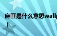 麻匪是什么意思wallpaper（麻匪是什么意思）