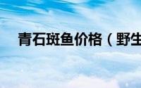 青石斑鱼价格（野生青石斑鱼生长速度）