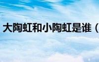 大陶虹和小陶虹是谁（小陶虹和大陶红关系）