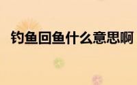 钓鱼回鱼什么意思啊（钓鱼回鱼什么意思）