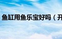 鱼缸用鱼乐宝好吗（开缸用鱼乐宝直接养鱼）