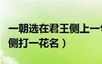 一朝选在君王侧上一句是什么（一朝选在君王侧打一花名）
