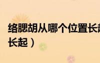络腮胡从哪个位置长起好（络腮胡从哪个位置长起）