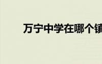 万宁中学在哪个镇（万宁中学好吗）
