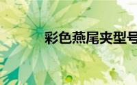 彩色燕尾夹型号（燕尾夹型号）