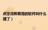 虎牙浣熊君用的软件叫什么（2021年虎牙浣熊君为什么不直播了）