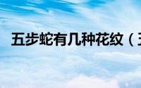 五步蛇有几种花纹（五步蛇的蛇花是什么）