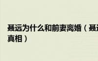 聂远为什么和前妻离婚（聂远为什么离婚聂远阳光离婚原因真相）