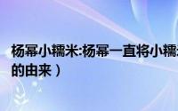 杨幂小糯米:杨幂一直将小糯米保护得很好（杨幂小糯米名字的由来）