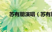 苏有朋演唱（苏有朋雨蝶完整版原唱）