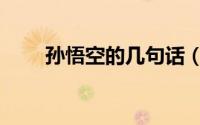 孙悟空的几句话（孙悟空四句名言）