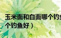 玉米面和白面哪个钓鱼好些（玉米面和白面哪个钓鱼好）