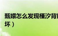 甄嬛怎么发现槿汐背叛了（甄嬛传佩儿是好是坏）