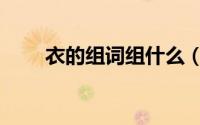 衣的组词组什么（衣的组词有什么）