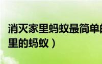 消灭家里蚂蚁最简单的办法（如何彻底消灭家里的蚂蚁）