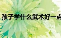孩子学什么武术好一点（孩子学什么武术好）