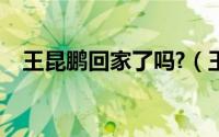 王昆鹏回家了吗?（王昆鹏已经找到了吗）