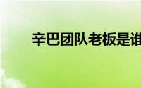辛巴团队老板是谁（辛巴老板是谁）