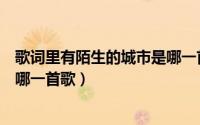 歌词里有陌生的城市是哪一首歌曲（歌词里有陌生的城市是哪一首歌）