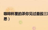 咖啡杯里的茶你见过最毁三观的事（咖啡杯里的茶是什么意思）