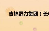 吉林野力集团（长春野力集团创始人）