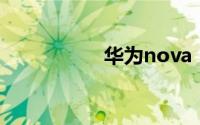华为nova（y70参数）