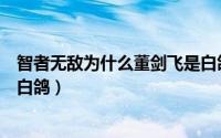 智者无敌为什么董剑飞是白鸽（智者无敌中董剑飞为什么当白鸽）