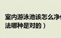 室内游泳池该怎么净化水（室内游泳池净化方法哪种是对的）