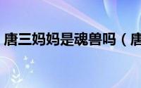 唐三妈妈是魂兽吗（唐三妈妈的魂环给了谁）