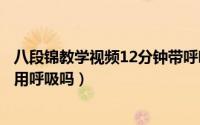 八段锦教学视频12分钟带呼吸法完整版（蟾蜍抱鲤鱼蟾蜍不用呼吸吗）