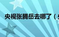 央视张腾岳去哪了（央视张腾岳是哪里人）