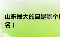 山东最大的县是哪个县（山东最大的镇依次排名）