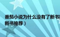 番茄小说为什么没有了新书推荐呢（番茄小说为什么没有了新书推荐）
