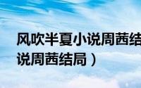 风吹半夏小说周茜结局是he吗（风吹半夏小说周茜结局）
