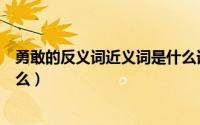 勇敢的反义词近义词是什么词（勇敢的反义词和近义词是什么）