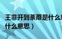 王菲开到荼蘼是什么意思啊（王菲开到荼蘼是什么意思）