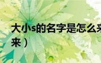 大小s的名字是怎么来的（大s和小s名字的由来）