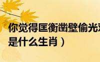 你觉得匡衡凿壁偷光对吗?为什么?（匡衡凿壁是什么生肖）